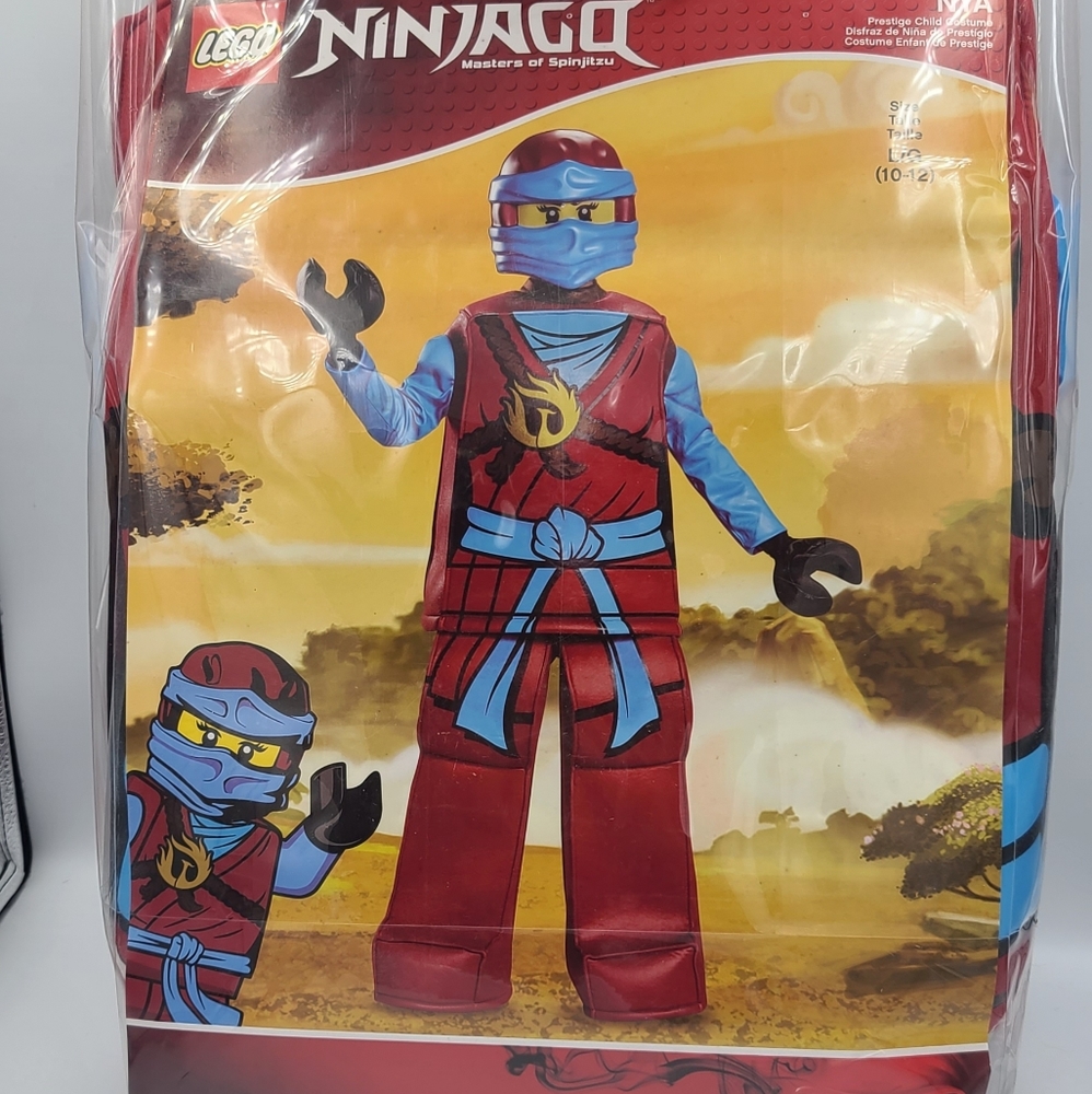 Lego Ninjago Costume